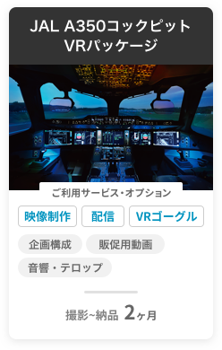 JAL A350コックピット VRパッケージ